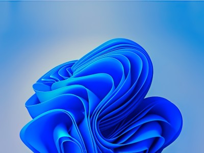 나무에-있는-나뭇잎-무리